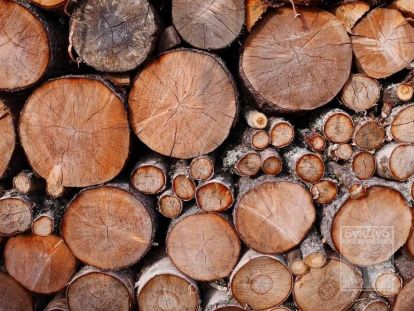 Влажность древесины и особенности сушки